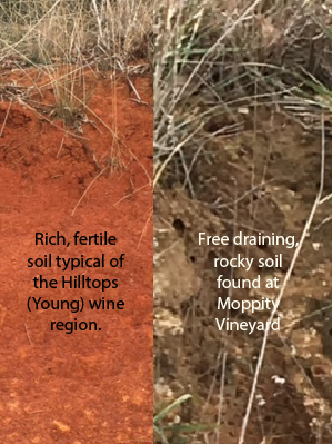 Cabernet soil profile